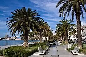 Roza * Split